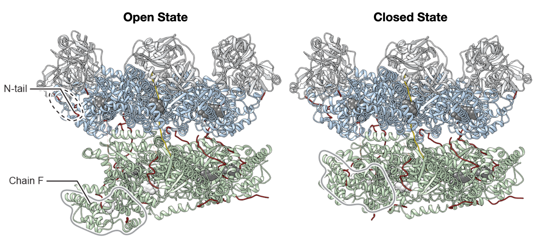 Nature Structural & Molecular Biology Paper Online!