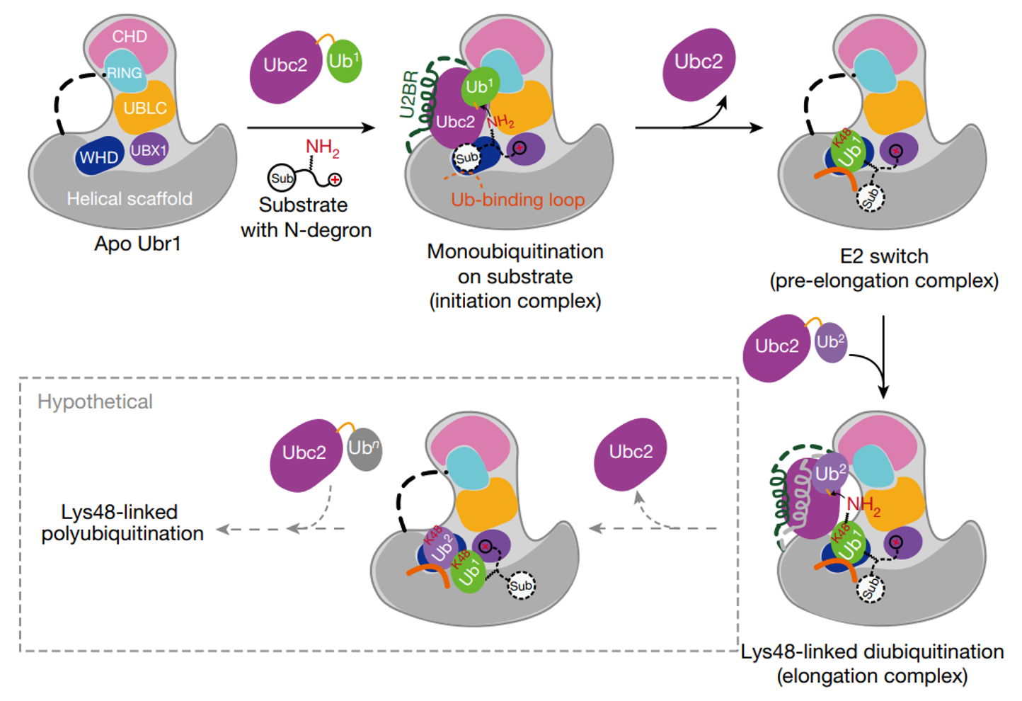 Nature Paper Online!